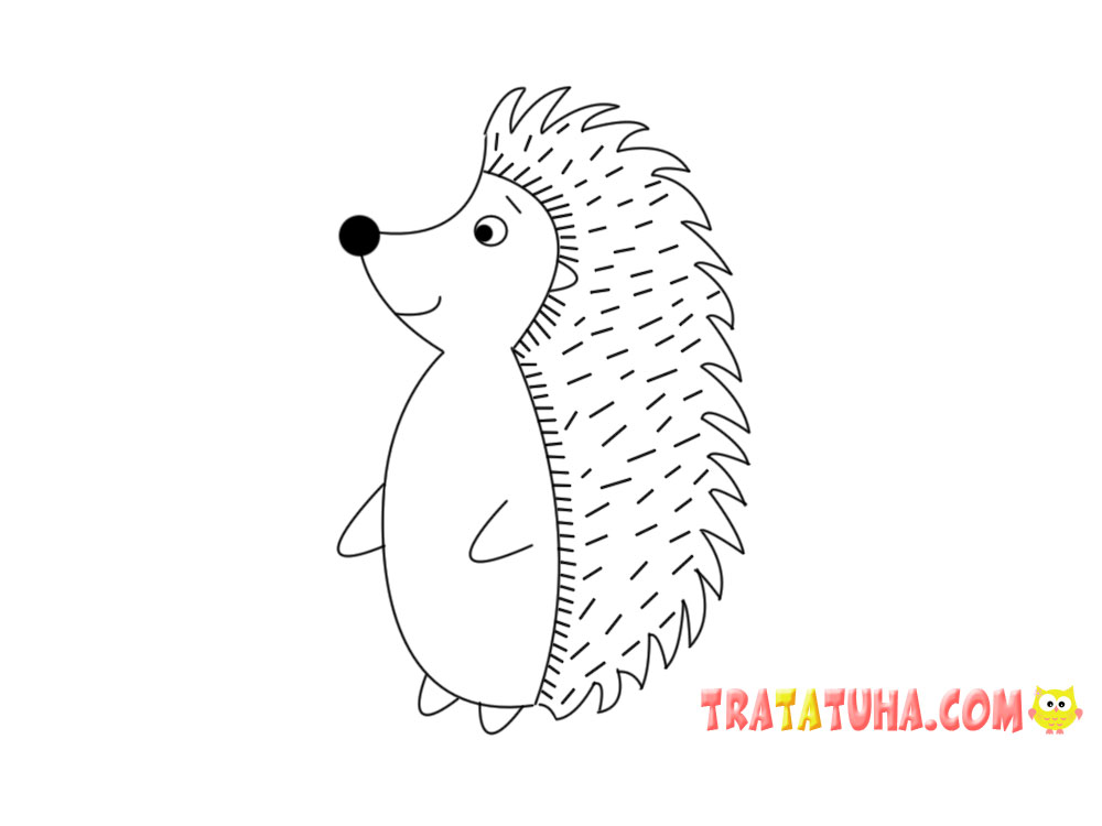 How to Draw a Hedgehog