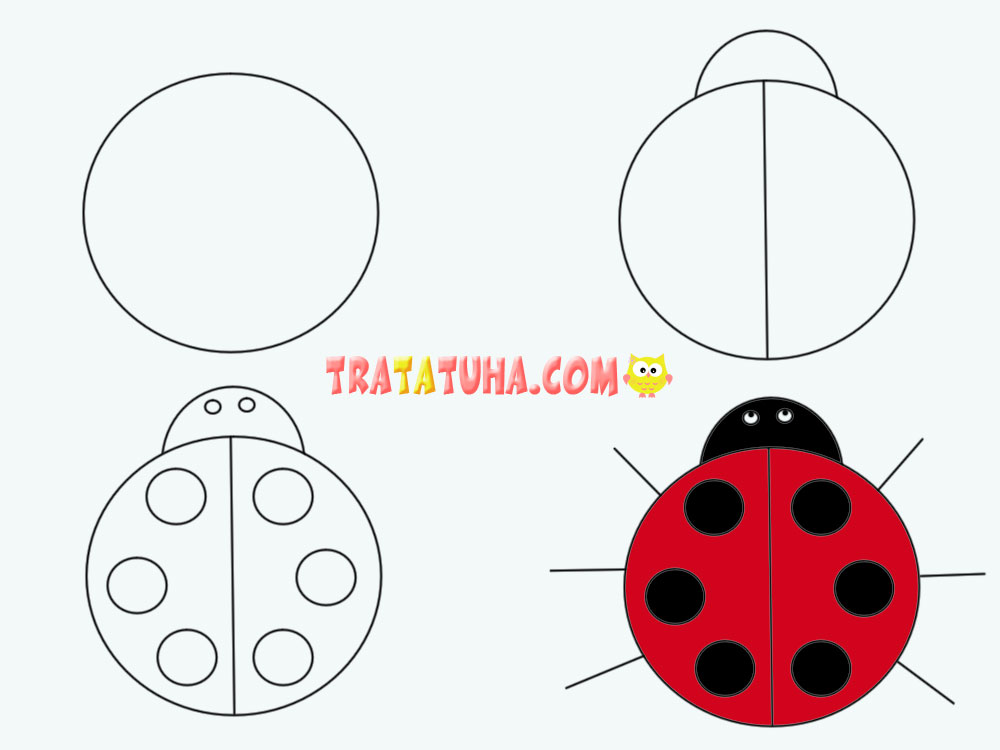 How to Draw a ladybug