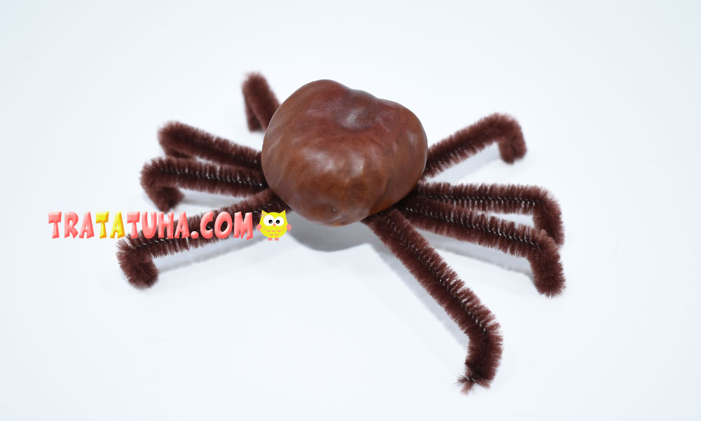 Chestnut Spider