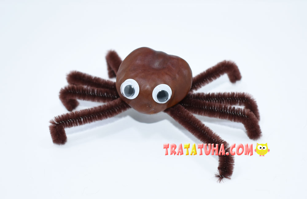 Chestnut Spider